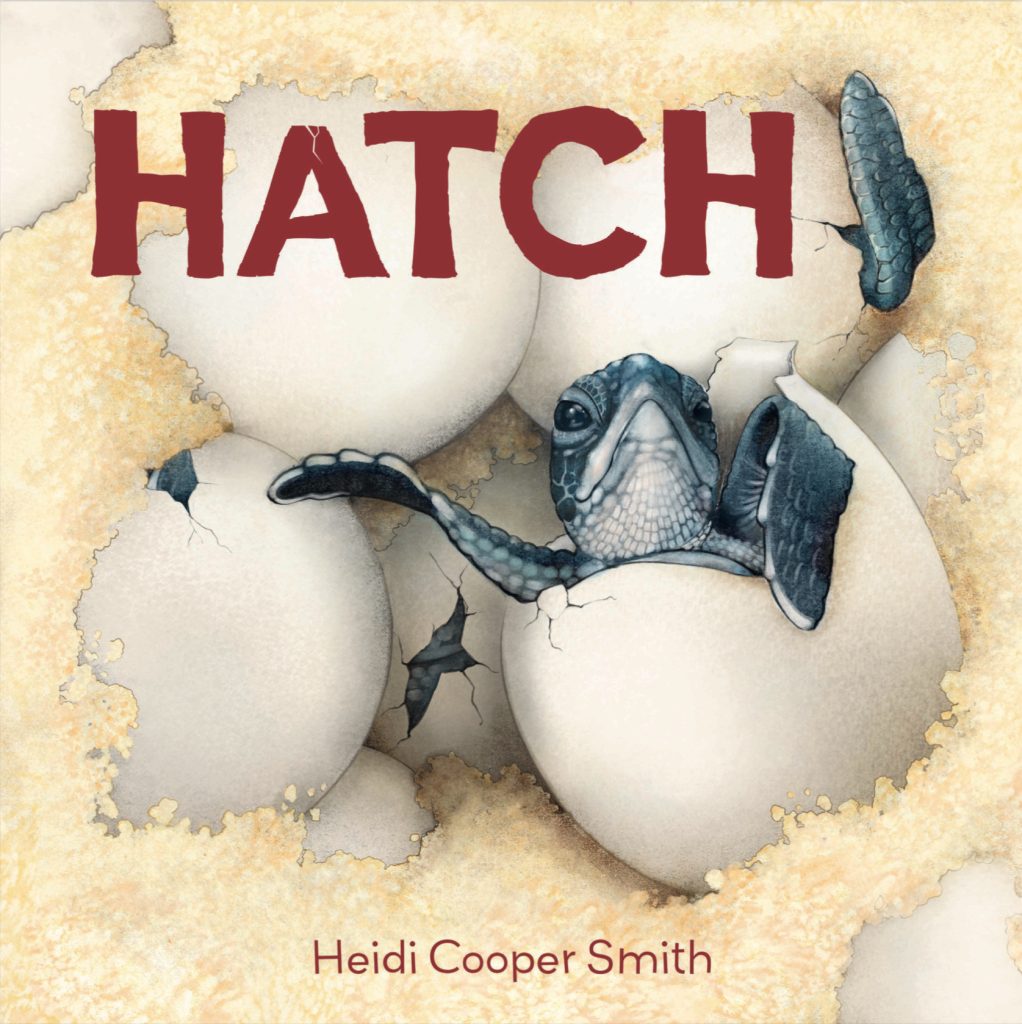 Hatch